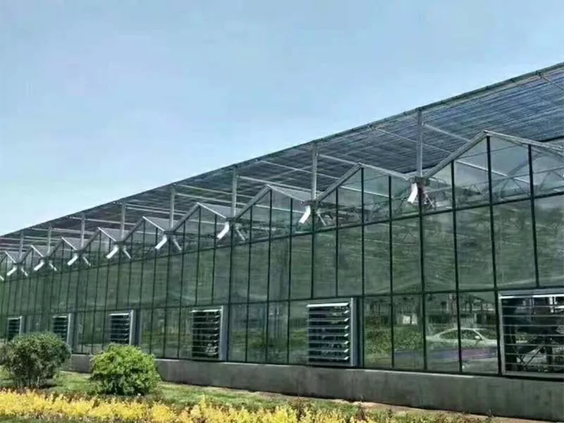 Những loại cây trồng nào có thể được trồng trong một trang trại thẳng đứng bằng thép?